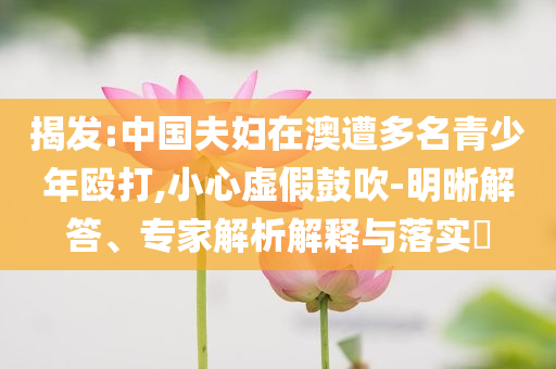 揭發(fā):中國夫婦在澳遭多名青少年毆打,小心虛假鼓吹-明晰解答、專家解析解釋與落實?
