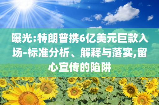 曝光:特朗普攜6億美元巨款入場(chǎng)-標(biāo)準(zhǔn)分析、解釋與落實(shí),留心宣傳的陷阱