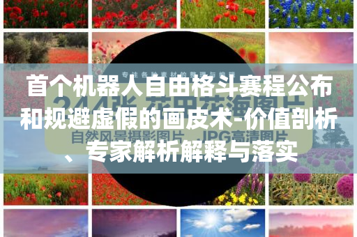 首個(gè)機(jī)器人自由格斗賽程公布和規(guī)避虛假的畫皮術(shù)-價(jià)值剖析、專家解析解釋與落實(shí)