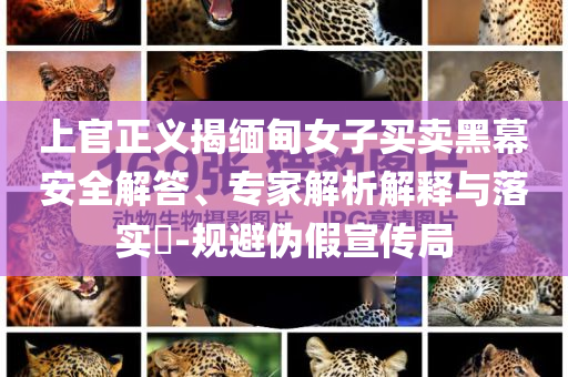 上官正義揭緬甸女子買賣黑幕安全解答、專家解析解釋與落實(shí)?-規(guī)避偽假宣傳局