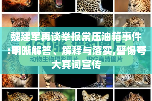 魏建軍再談舉報(bào)常壓油箱事件:明晰解答、解釋與落實(shí),警惕夸大其詞宣傳
