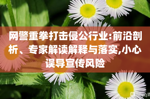 網(wǎng)警重拳打擊侵公行業(yè):前沿剖析、專家解讀解釋與落實(shí),小心誤導(dǎo)宣傳風(fēng)險(xiǎn)