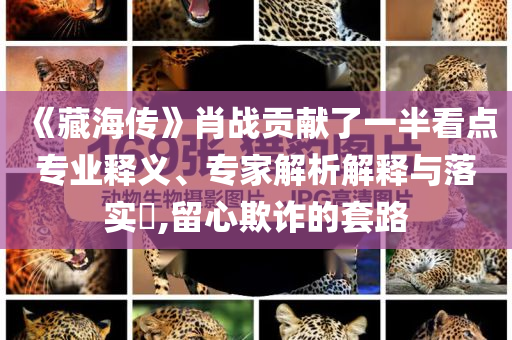 《藏海傳》肖戰(zhàn)貢獻了一半看點專業(yè)釋義、專家解析解釋與落實?,留心欺詐的套路