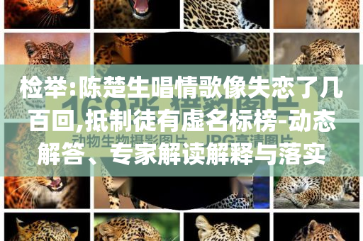 檢舉:陳楚生唱情歌像失戀了幾百回,抵制徒有虛名標(biāo)榜-動(dòng)態(tài)解答、專家解讀解釋與落實(shí)