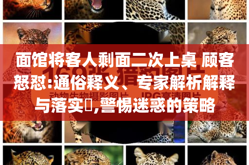 面館將客人剩面二次上桌 顧客怒懟:通俗釋義、專家解析解釋與落實?,警惕迷惑的策略