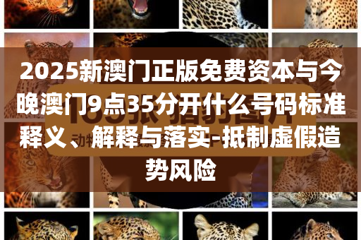 2025新澳門正版免費資本與今晚澳門9點35分開什么號碼標準釋義、解釋與落實-抵制虛假造勢風險