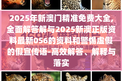 2025年新澳門精準免費大全,全面解答解與2025新澳正版資料最新056的資料和警惕虛假的假宣傳語-高效解答、解釋與落實