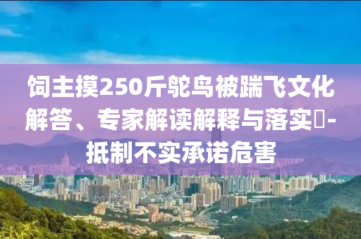 飼主摸250斤鴕鳥被踹飛文化解答、專家解讀解釋與落實(shí)?-抵制不實(shí)承諾危害