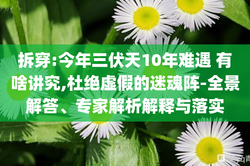 拆穿:今年三伏天10年難遇 有啥講究,杜絕虛假的迷魂陣-全景解答、專家解析解釋與落實(shí)