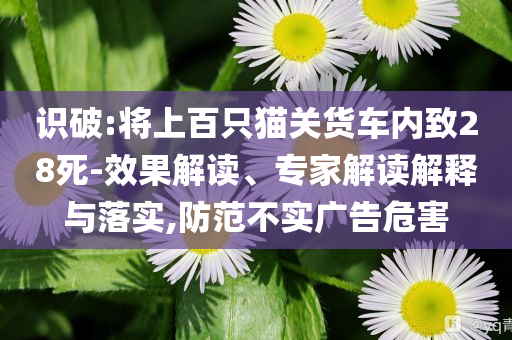 識破:將上百只貓關貨車內致28死-效果解讀、專家解讀解釋與落實,防范不實廣告危害
