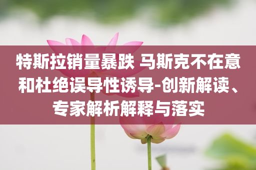 特斯拉銷量暴跌 馬斯克不在意和杜絕誤導性誘導-創(chuàng)新解讀、專家解析解釋與落實
