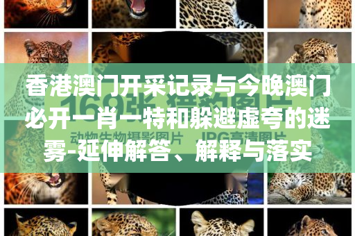 香港澳門開采記錄與今晚澳門必開一肖一特和躲避虛夸的迷霧-延伸解答、解釋與落實