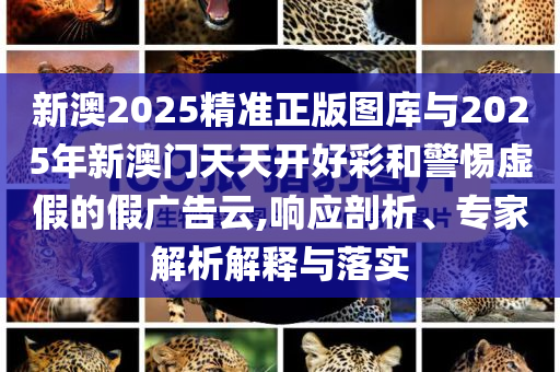 新澳2025精準(zhǔn)正版圖庫與2025年新澳門天天開好彩和警惕虛假的假廣告云,響應(yīng)剖析、專家解析解釋與落實(shí)