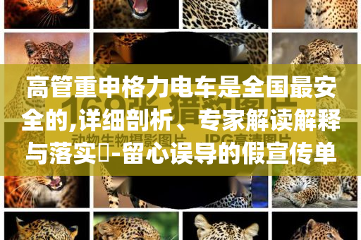 高管重申格力電車是全國最安全的,詳細(xì)剖析、專家解讀解釋與落實(shí)?-留心誤導(dǎo)的假宣傳單