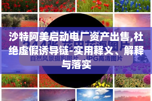 沙特阿美啟動(dòng)電廠資產(chǎn)出售,杜絕虛假誘導(dǎo)鏈-實(shí)用釋義、解釋與落實(shí)