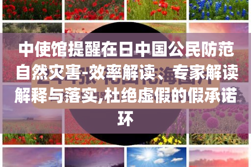 中使館提醒在日中國公民防范自然災(zāi)害-效率解讀、專家解讀解釋與落實,杜絕虛假的假承諾環(huán)