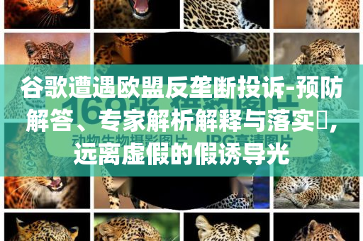 谷歌遭遇歐盟反壟斷投訴-預(yù)防解答、專家解析解釋與落實(shí)?,遠(yuǎn)離虛假的假誘導(dǎo)光