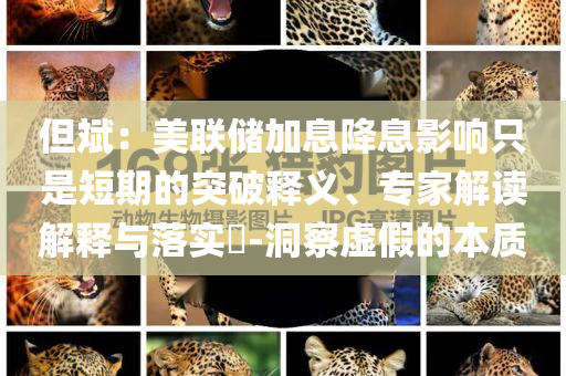但斌：美聯(lián)儲加息降息影響只是短期的突破釋義、專家解讀解釋與落實?-洞察虛假的本質(zhì)