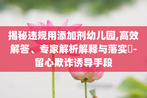 揭秘違規(guī)用添加劑幼兒園,高效解答、專家解析解釋與落實(shí)?-留心欺詐誘導(dǎo)手段