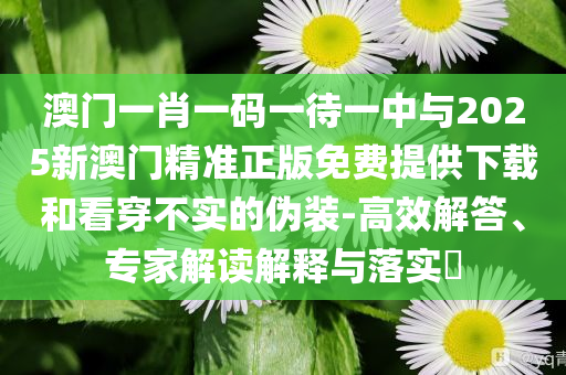 澳門一肖一碼一待一中與2025新澳門精準(zhǔn)正版免費(fèi)提供下載和看穿不實(shí)的偽裝-高效解答、專家解讀解釋與落實(shí)?