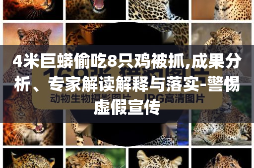 4米巨蟒偷吃8只雞被抓,成果分析、專家解讀解釋與落實(shí)-警惕虛假宣傳