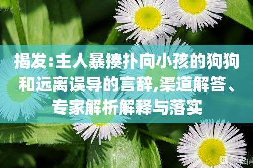 揭發(fā):主人暴揍撲向小孩的狗狗和遠(yuǎn)離誤導(dǎo)的言辭,渠道解答、專家解析解釋與落實