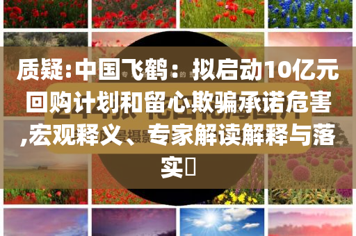 質(zhì)疑:中國(guó)飛鶴：擬啟動(dòng)10億元回購(gòu)計(jì)劃和留心欺騙承諾危害,宏觀釋義、專家解讀解釋與落實(shí)?
