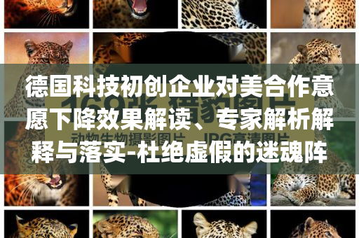 德國科技初創(chuàng)企業(yè)對美合作意愿下降效果解讀、專家解析解釋與落實(shí)-杜絕虛假的迷魂陣