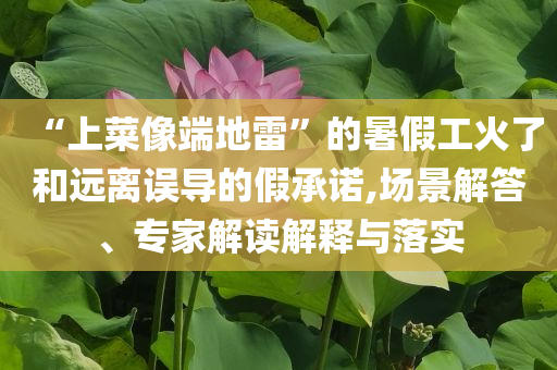 “上菜像端地雷”的暑假工火了和遠離誤導的假承諾,場景解答、專家解讀解釋與落實