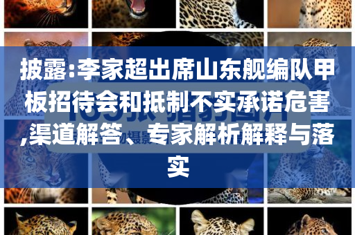 披露:李家超出席山東艦編隊甲板招待會和抵制不實承諾危害,渠道解答、專家解析解釋與落實