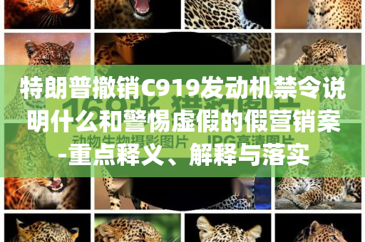 特朗普撤銷C919發(fā)動機禁令說明什么和警惕虛假的假營銷案-重點釋義、解釋與落實