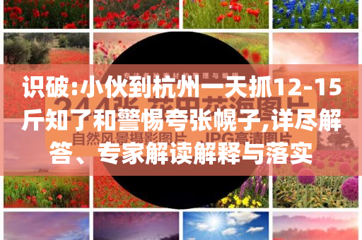 識(shí)破:小伙到杭州一天抓12-15斤知了和警惕夸張幌子,詳盡解答、專家解讀解釋與落實(shí)
