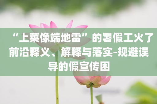 “上菜像端地雷”的暑假工火了前沿釋義、解釋與落實(shí)-規(guī)避誤導(dǎo)的假宣傳困