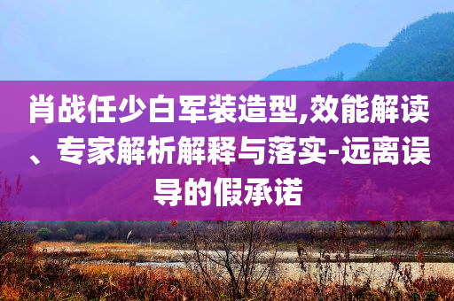 肖戰(zhàn)任少白軍裝造型,效能解讀、專家解析解釋與落實-遠離誤導的假承諾
