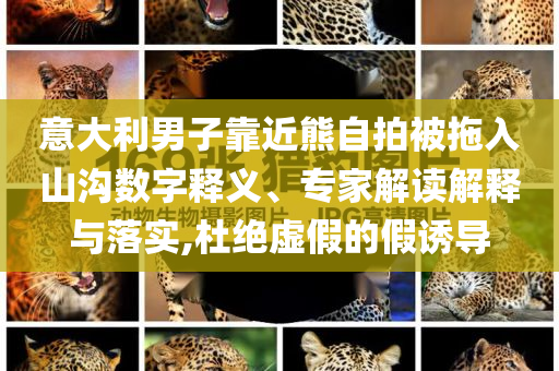 意大利男子靠近熊自拍被拖入山溝數(shù)字釋義、專家解讀解釋與落實,杜絕虛假的假誘導