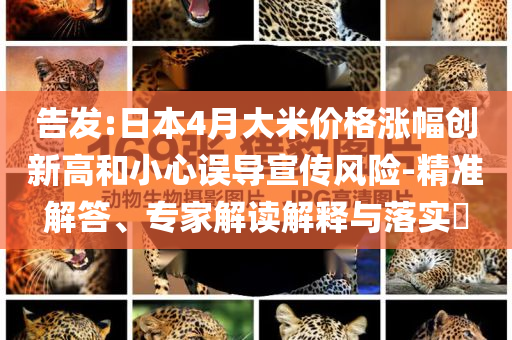 告發(fā):日本4月大米價(jià)格漲幅創(chuàng)新高和小心誤導(dǎo)宣傳風(fēng)險(xiǎn)-精準(zhǔn)解答、專家解讀解釋與落實(shí)?