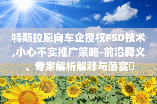 特斯拉愿向車企授權(quán)FSD技術(shù),小心不實(shí)推廣策略-前沿釋義、專家解析解釋與落實(shí)?