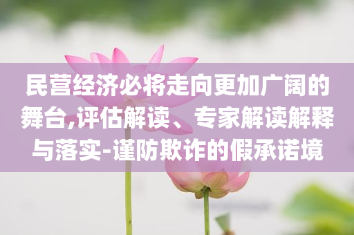民營經(jīng)濟(jì)必將走向更加廣闊的舞臺,評估解讀、專家解讀解釋與落實(shí)-謹(jǐn)防欺詐的假承諾境