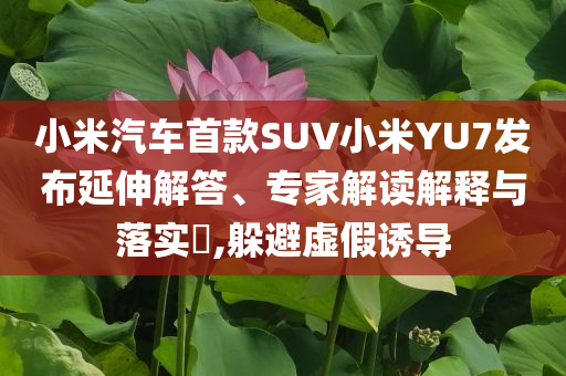 小米汽車首款SUV小米YU7發(fā)布延伸解答、專家解讀解釋與落實(shí)?,躲避虛假誘導(dǎo)