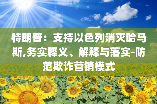 特朗普：支持以色列消滅哈馬斯,務(wù)實(shí)釋義、解釋與落實(shí)-防范欺詐營銷模式