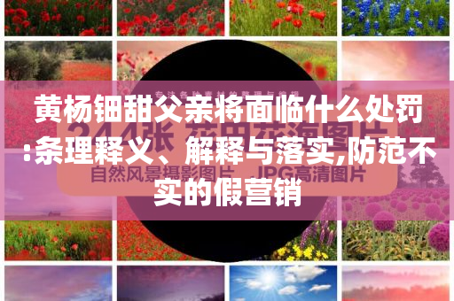 黃楊鈿甜父親將面臨什么處罰:條理釋義、解釋與落實(shí),防范不實(shí)的假營銷