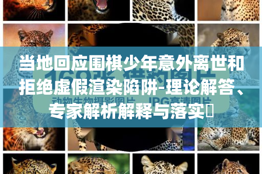 當(dāng)?shù)鼗貞?yīng)圍棋少年意外離世和拒絕虛假渲染陷阱-理論解答、專家解析解釋與落實(shí)?