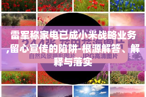 雷軍稱家電已成小米戰(zhàn)略業(yè)務(wù),留心宣傳的陷阱-根源解答、解釋與落實(shí)