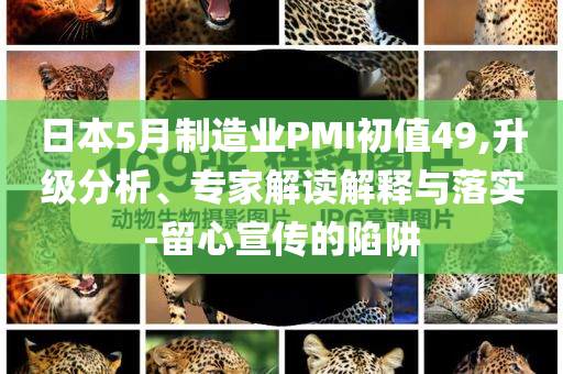 2025年7月6日 第41頁