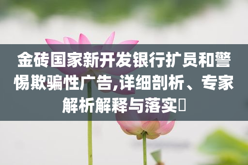 金磚國(guó)家新開(kāi)發(fā)銀行擴(kuò)員和警惕欺騙性廣告,詳細(xì)剖析、專(zhuān)家解析解釋與落實(shí)?
