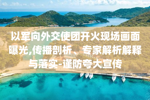 以軍向外交使團(tuán)開火現(xiàn)場(chǎng)畫面曝光,傳播剖析、專家解析解釋與落實(shí)-謹(jǐn)防夸大宣傳