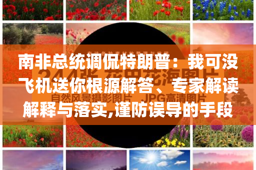 南非總統(tǒng)調(diào)侃特朗普：我可沒飛機送你根源解答、專家解讀解釋與落實,謹防誤導的手段