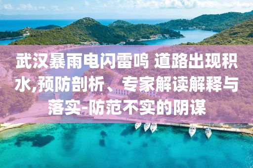 武漢暴雨電閃雷鳴 道路出現(xiàn)積水,預(yù)防剖析、專家解讀解釋與落實-防范不實的陰謀
