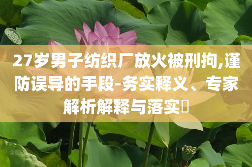 27歲男子紡織廠放火被刑拘,謹防誤導(dǎo)的手段-務(wù)實釋義、專家解析解釋與落實?