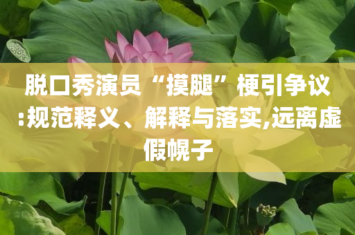 脫口秀演員“摸腿”梗引爭(zhēng)議:規(guī)范釋義、解釋與落實(shí),遠(yuǎn)離虛假幌子